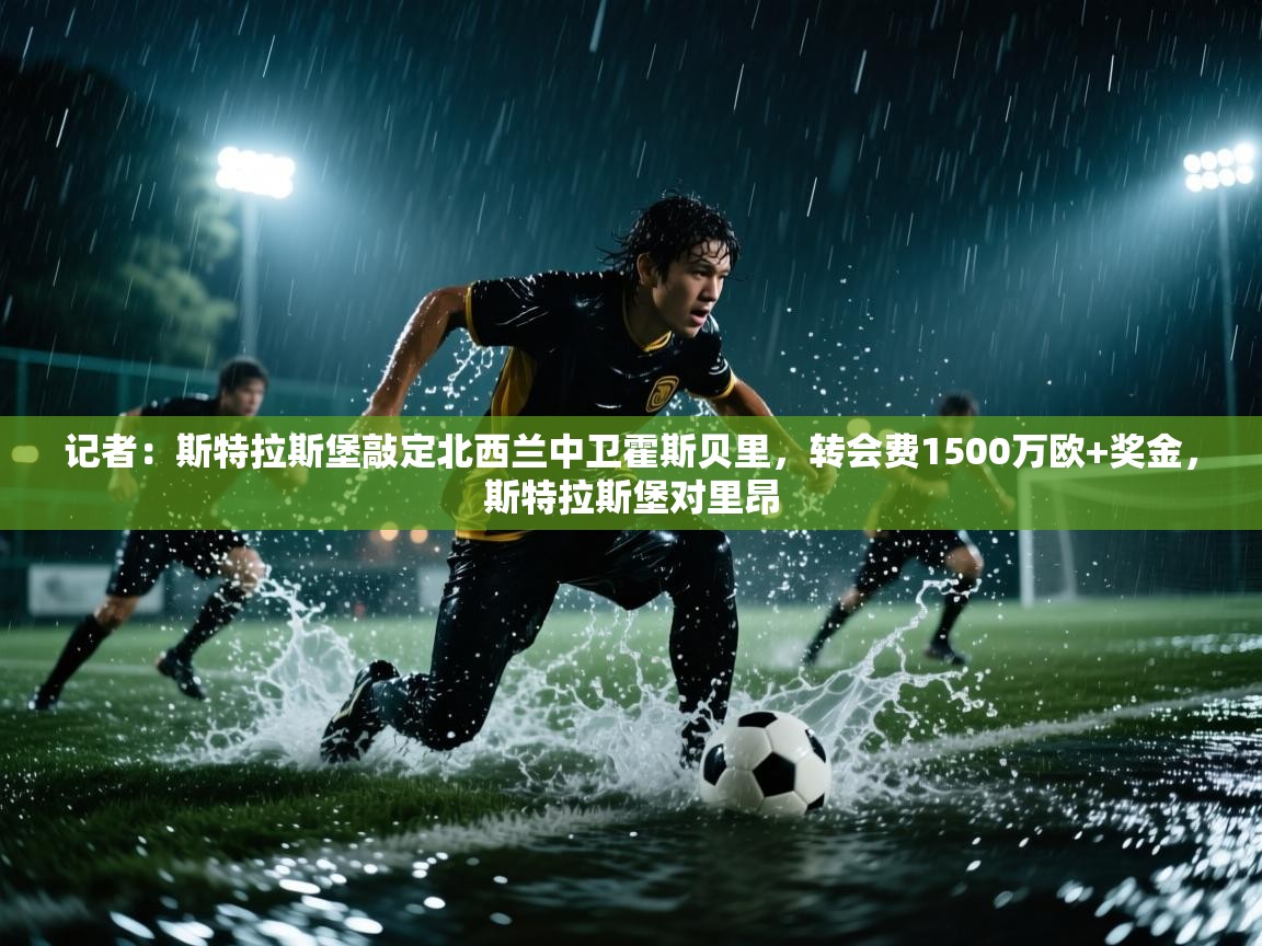 记者：斯特拉斯堡敲定北西兰中卫霍斯贝里，转会费1500万欧+奖金，斯特拉斯堡对里昂  第1张