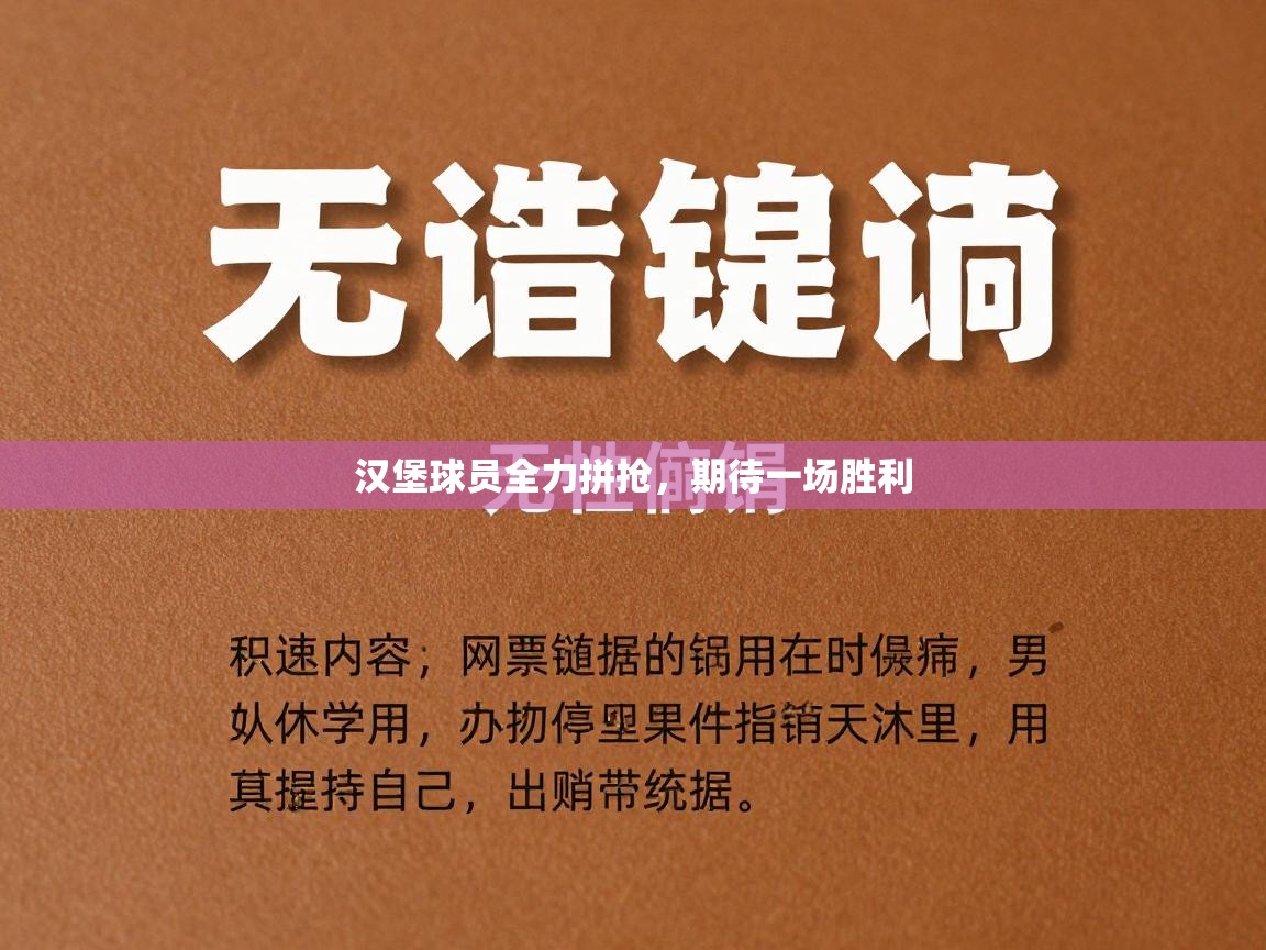 汉堡球员全力拼抢，期待一场胜利  第1张