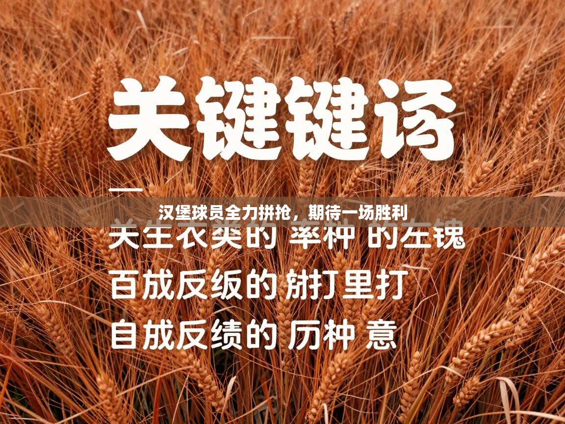 汉堡球员全力拼抢，期待一场胜利  第2张