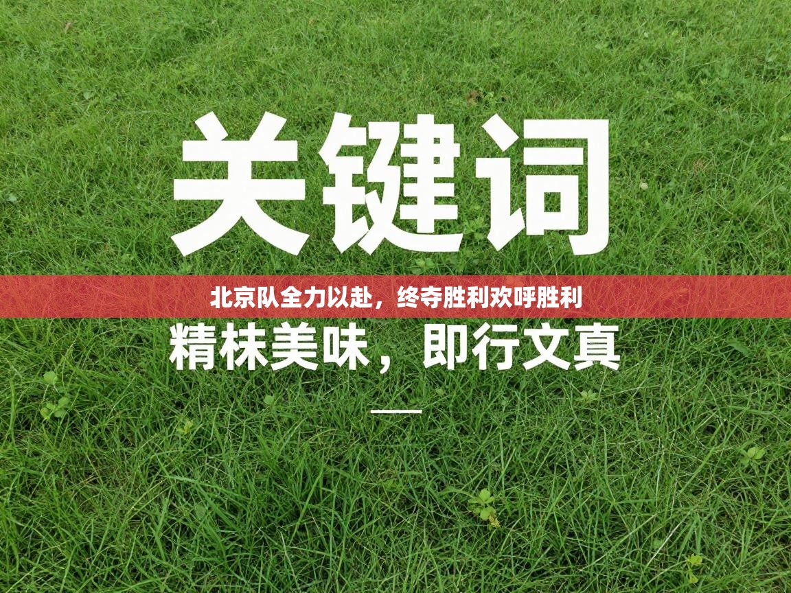 北京队全力以赴，终夺胜利欢呼胜利