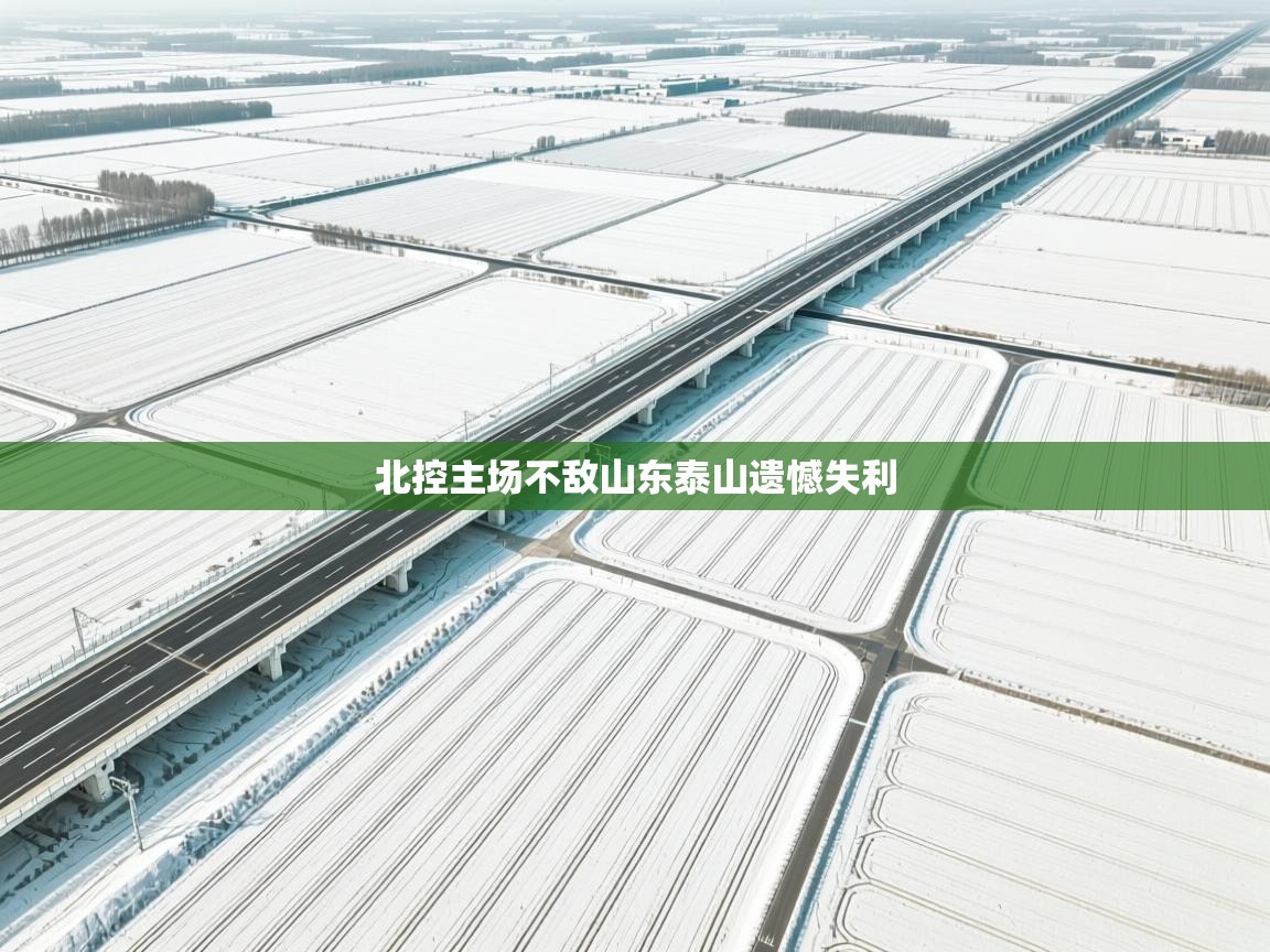 北控主场不敌山东泰山遗憾失利  第1张