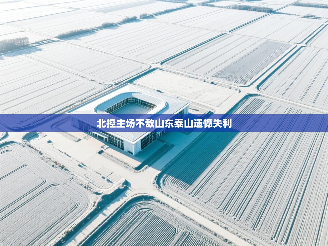 北控主场不敌山东泰山遗憾失利  第2张