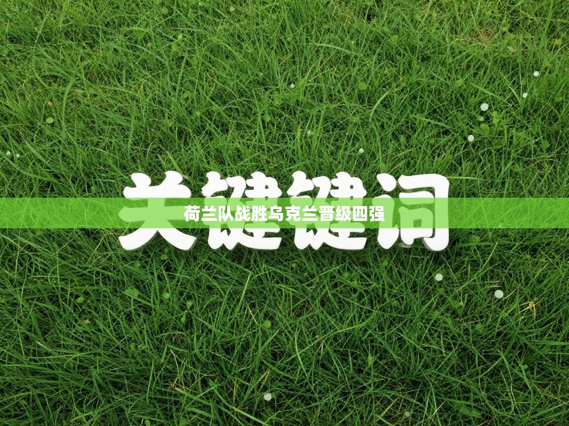 荷兰队战胜乌克兰晋级四强  第2张