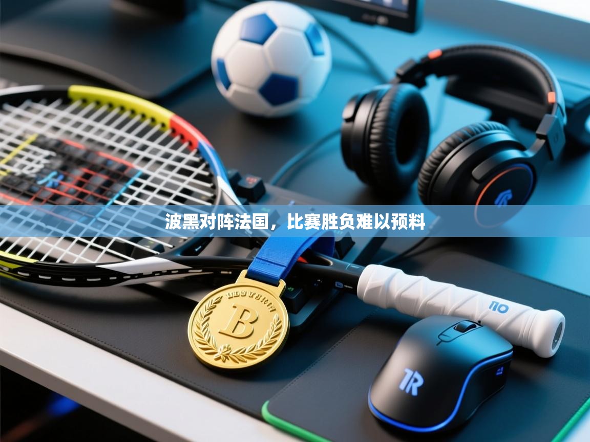 波黑对阵法国，比赛胜负难以预料  第1张